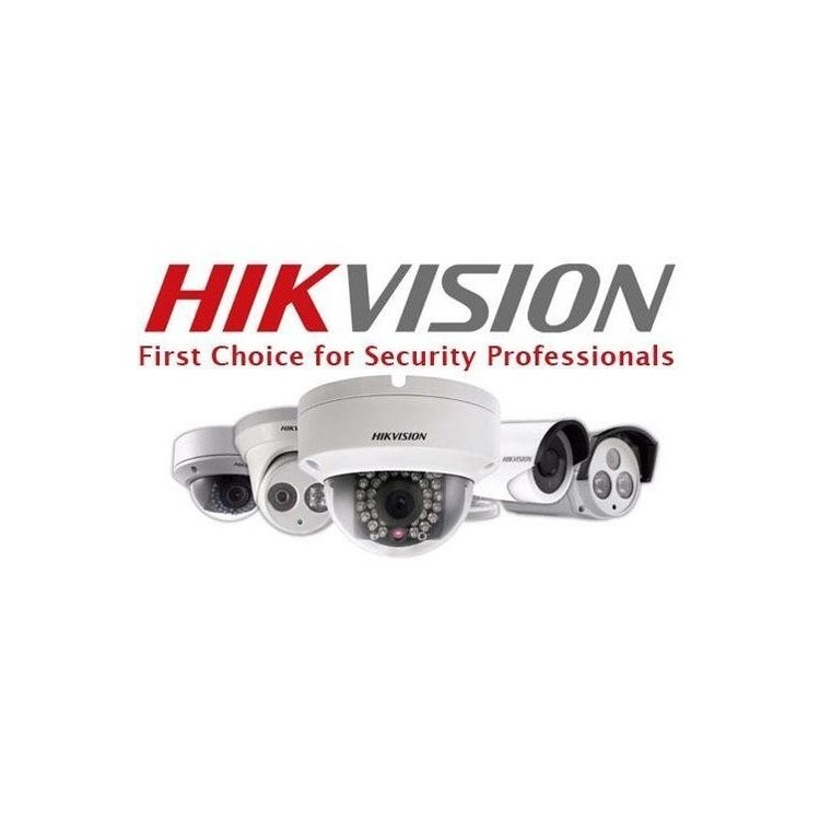 N/P : DS-2TD6266-50H2L - HIKVISION - Punta de Poste IP Dual / Termi